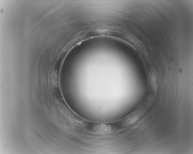 X0000056030421200508261911