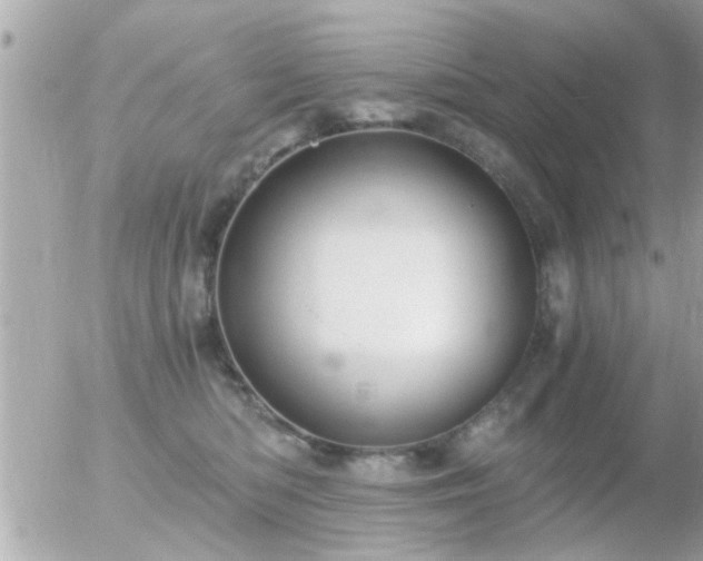 X0000056030422200508261911