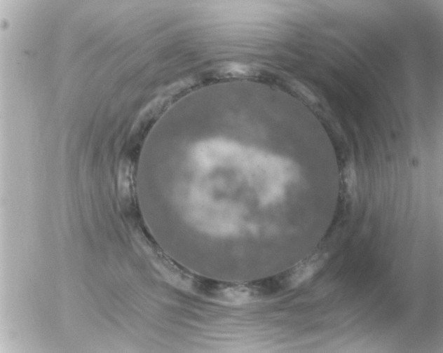 X0000056030423200508261911