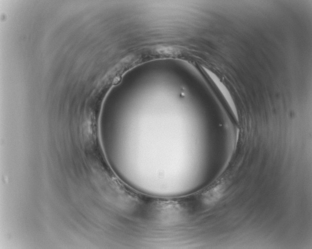 X0000056030424200508261911