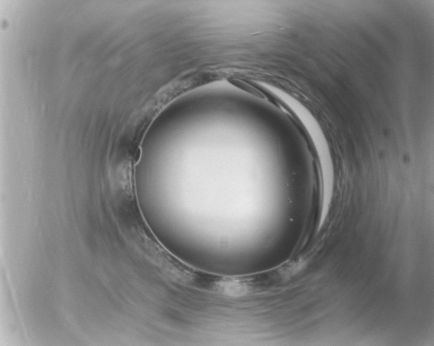 X0000056030425200508261911