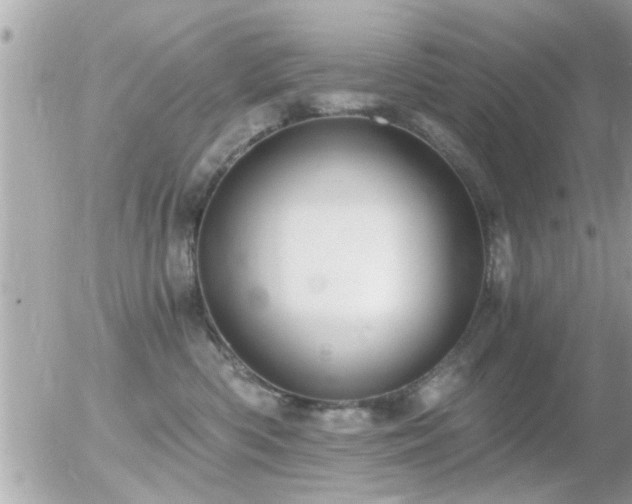 X0000056030426200508261911