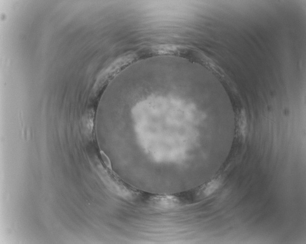 X0000056030427200508261911