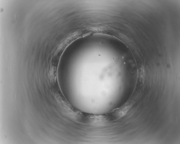 X0000056030428200508261911