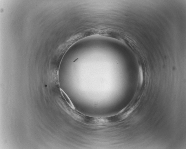 X0000056030429200508261911