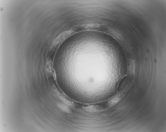 X0000056030430200508261911