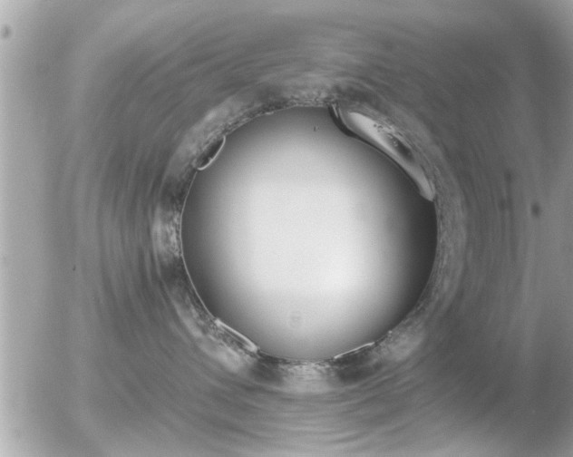 X0000056030432200508261911