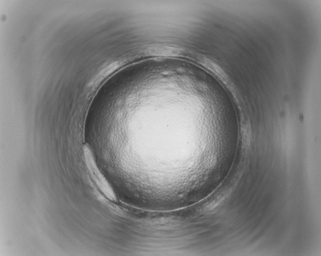 X0000056030433200508261910