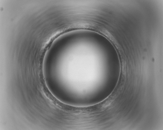 X0000056030434200508261910