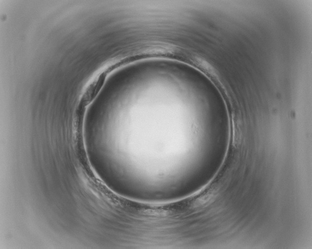 X0000056030435200508261910