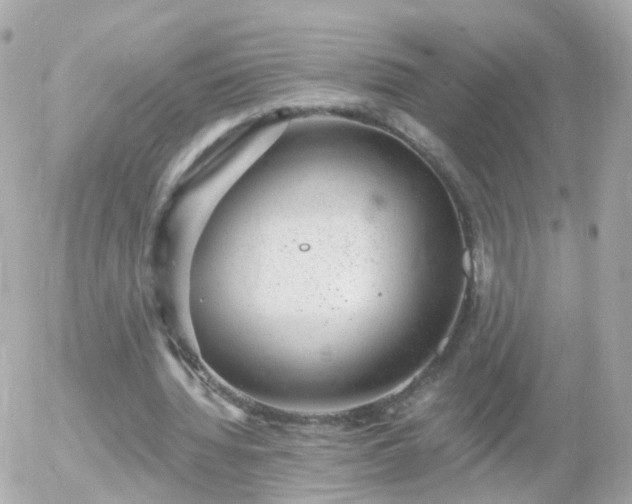 X0000056030436200508261910