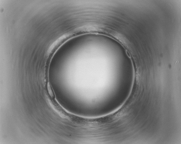 X0000056030438200508261910