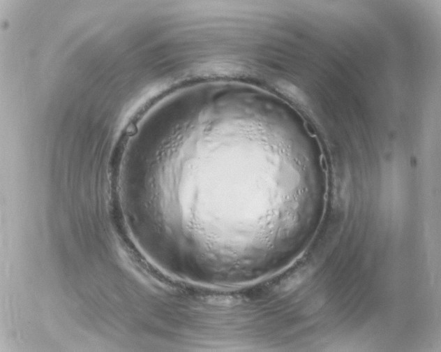 X0000056030439200508261910