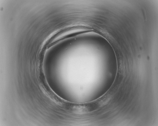 X0000056030440200508261911