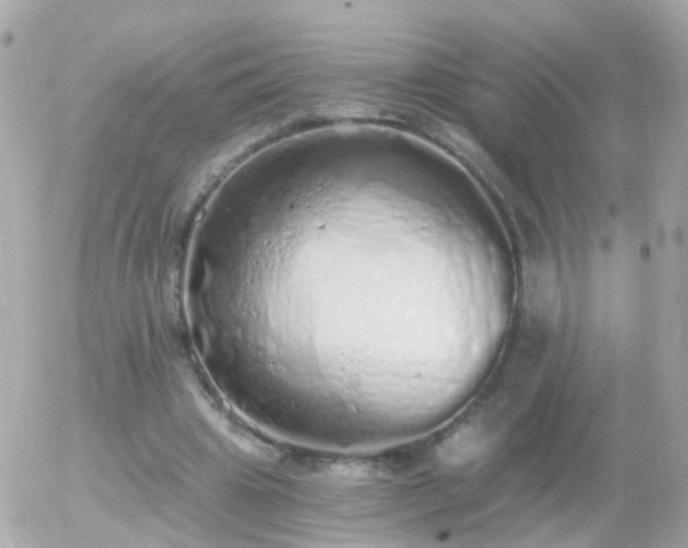 X0000056030441200508261911