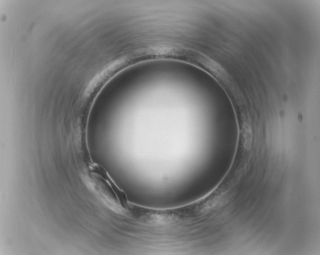 X0000056030442200508261911