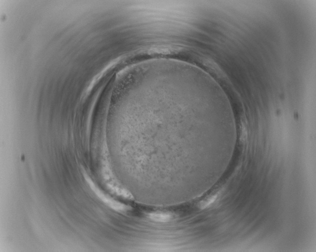 X0000056030444200508261911