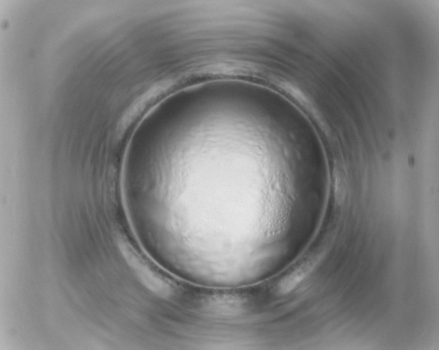 X0000056030445200508261911