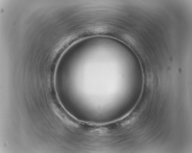 X0000056030447200508261911