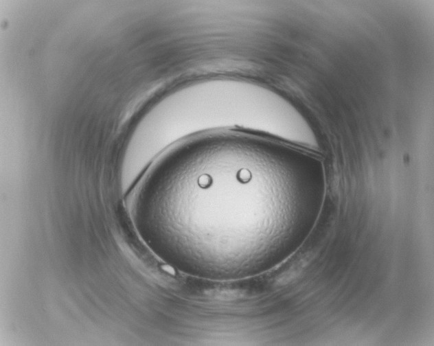 X0000056030448200508261911