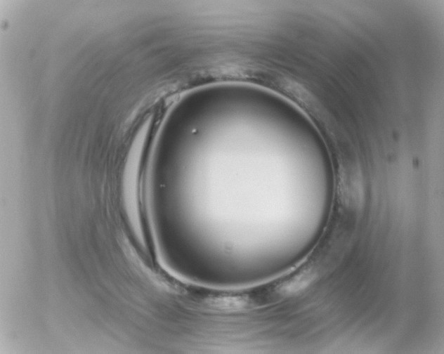 X0000056030449200508261911