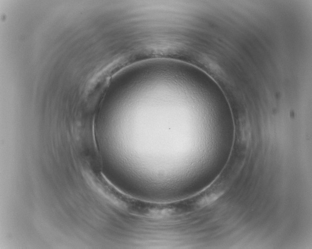 X0000056030450200508261911