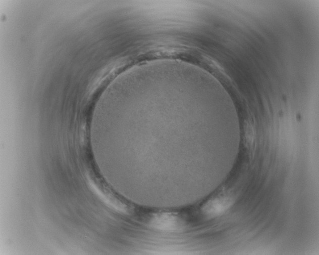 X0000056030451200508261911