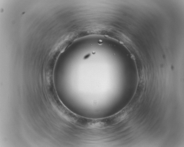 X0000056030452200508261911