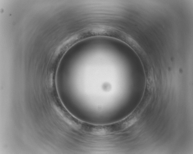 X0000056030454200508261911