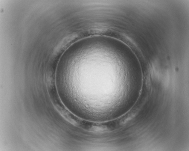 X0000056030455200508261911