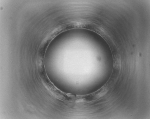 X0000056030456200508261911