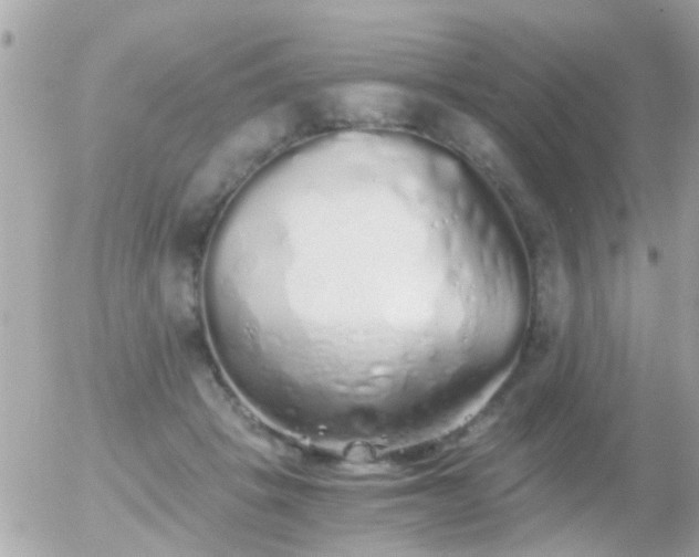 X0000056030457200508261911