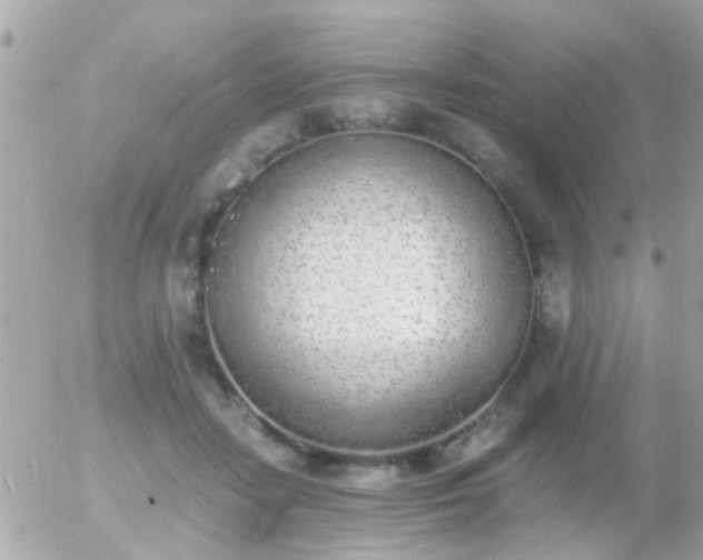 X0000056030458200508261911