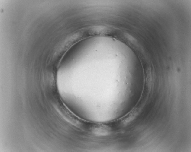 X0000056030459200508261911