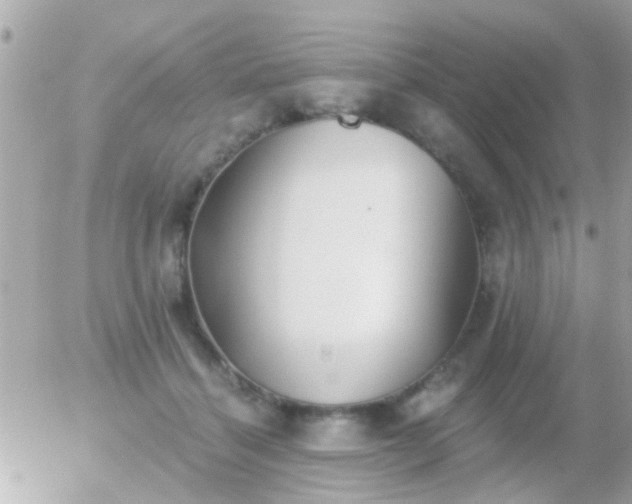 X0000056030460200508261911