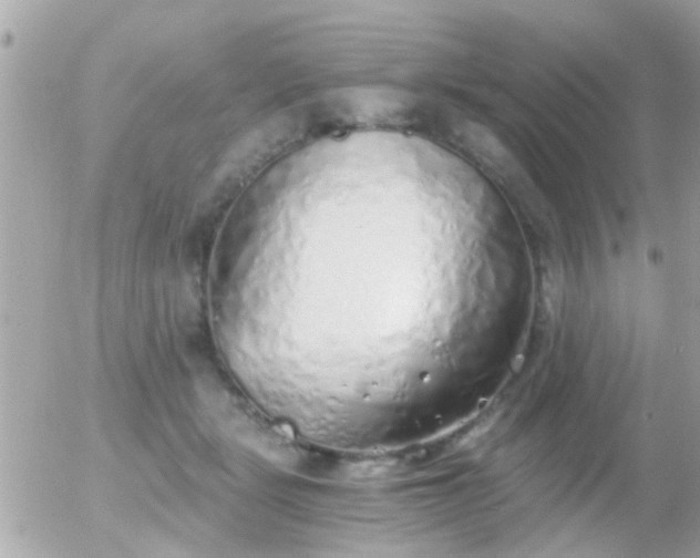 X0000056030461200508261911