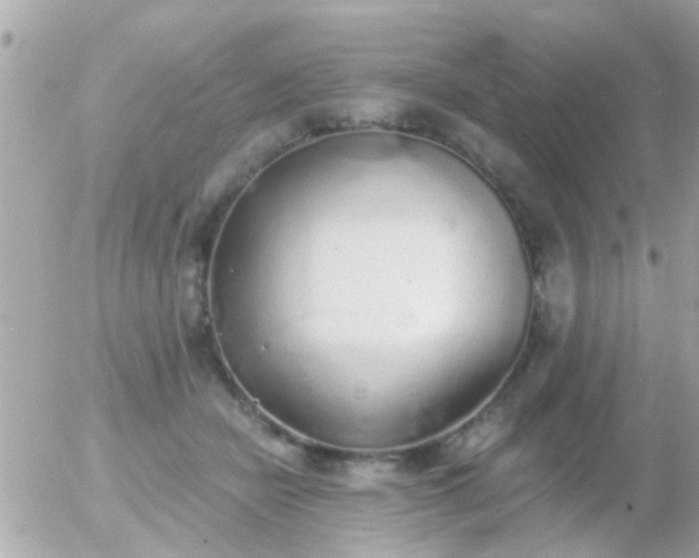 X0000056030462200508261911