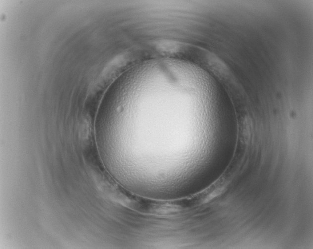 X0000056030463200508261911