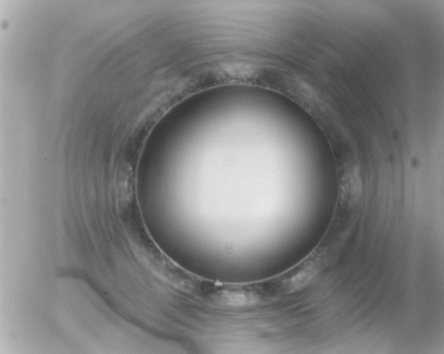 X0000056030464200508261911