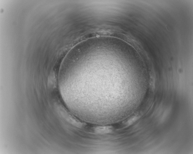 X0000056030465200508261911