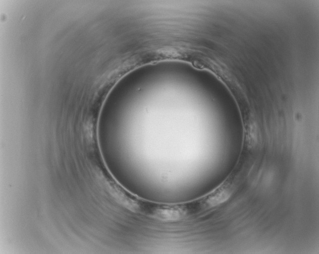 X0000056030466200508261911