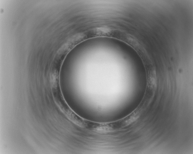 X0000056030468200508261911