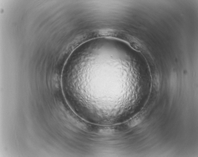 X0000056030470200508261911