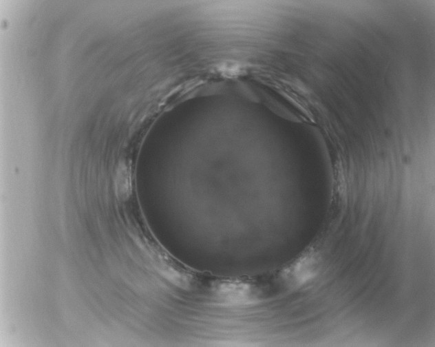 X0000056030471200508261911