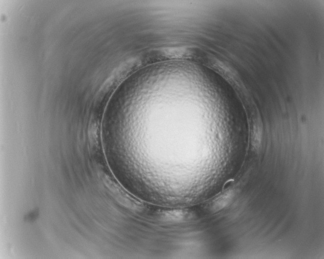 X0000056030473200508261911