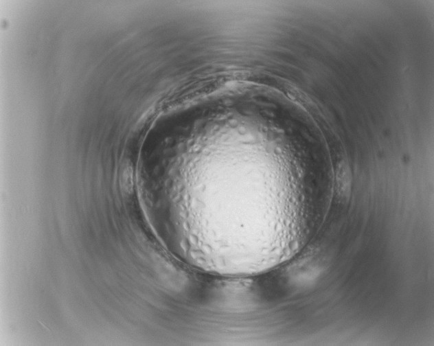 X0000056030474200508261911