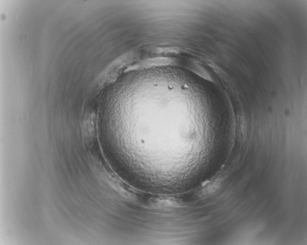 X0000056030475200508261911