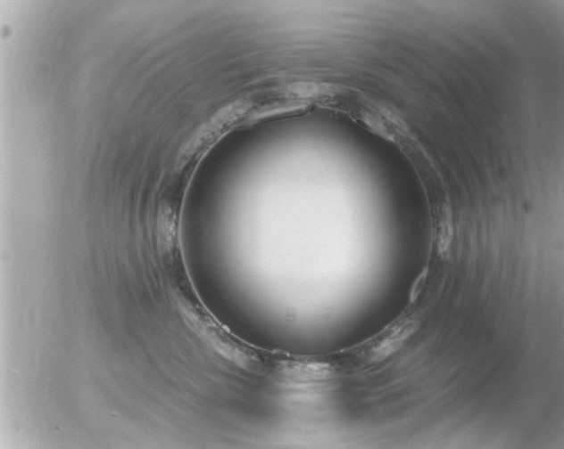 X0000056030476200508261911