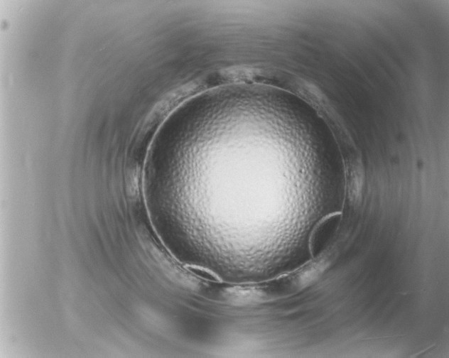 X0000056030477200508261911