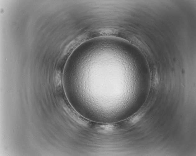 X0000056030478200508261911